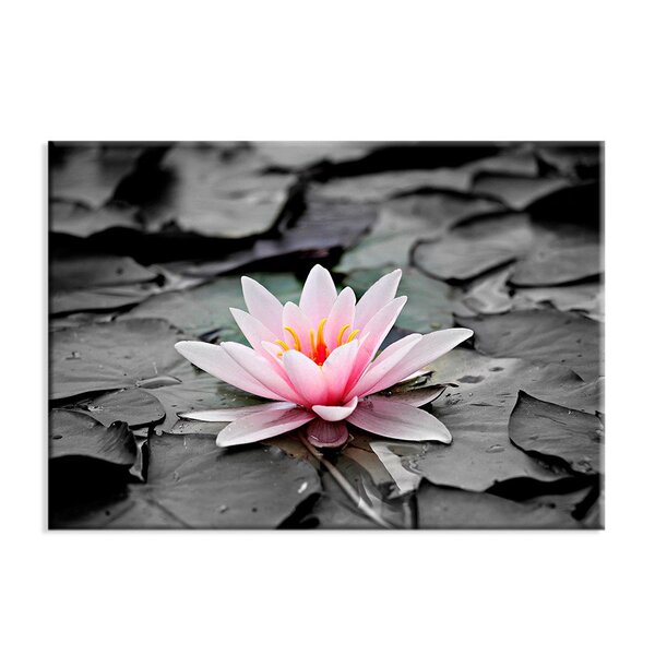 Tela Decorativa Flor Vitória Régia