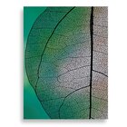 Tela Decorativa Folha Verde Degradê- 30x40cm