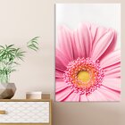Tela Decorativa Gérbera Rosa