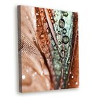 Tela Decorativa Gotas De Orvalho - 30x40cm