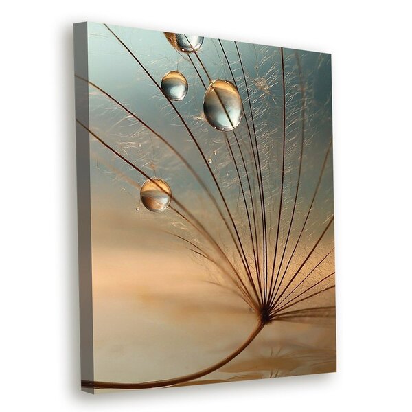 Tela Decorativa Gotas De Orvalho E Dente-de-leão - 30x40cm