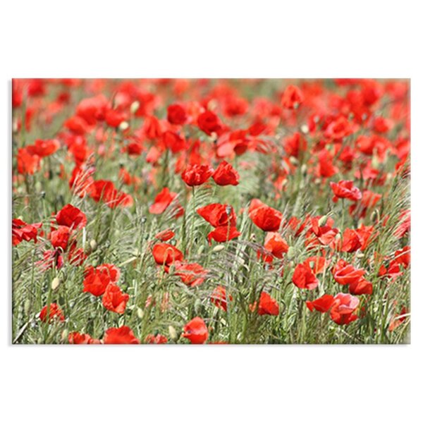 Tela Decorativa Jardim Papoula Vermelha
