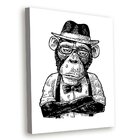 Tela Decorativa Macaco Pensativo - 30x40cm