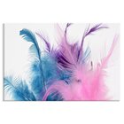 Tela Decorativa Penas Rosa E Azul