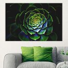 Tela Decorativa Suculentas