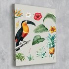 Tela Decorativa Tropical E Tucano - 30x40cm