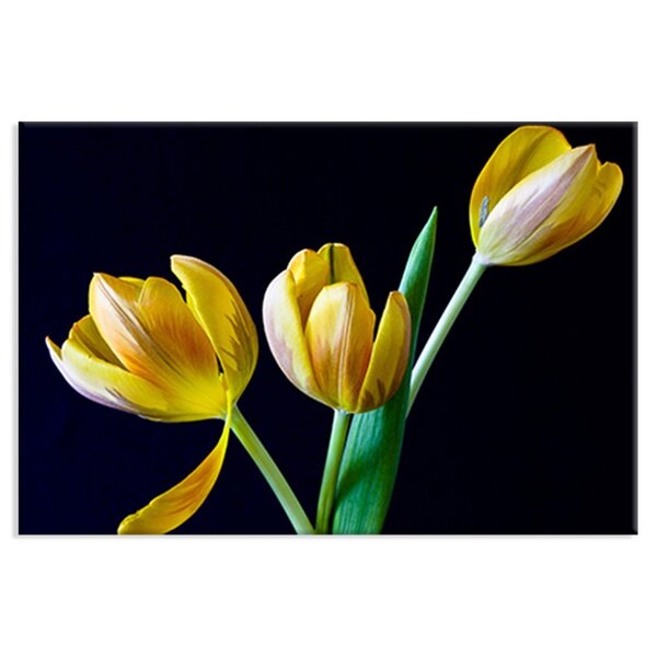 Tela Decorativa Tulipa Degradê Amarela
