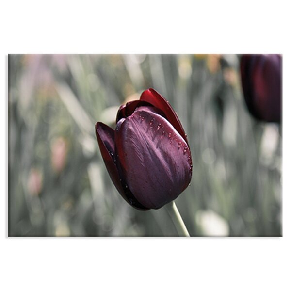 Tela Decorativa Tulipa Marsala