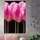 Tela Decorativa Tulipa Rosa Degradê