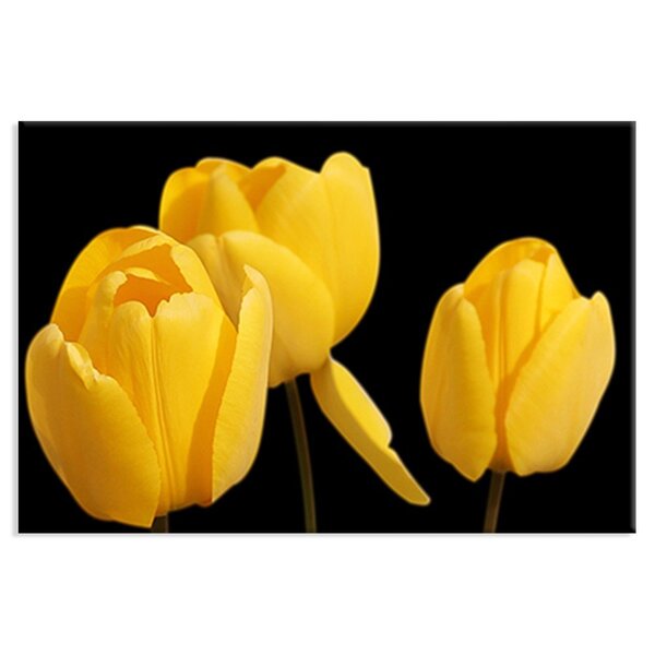 Tela Decorativa Tulipas Amarelas