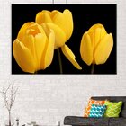 Tela Decorativa Tulipas Amarelas