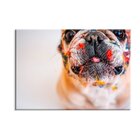 Tela Em Decorativa Cachorro Com Tinta