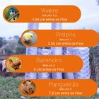 Tela Galinheiro 2" - Fio 23 - 1 80 X 25 Metros