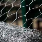 Tela Hexagonal Galinheiro Tag Malha 2" Fio Bwg 18 (1,24mm) Rl