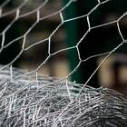 Tela Hexagonal Mangueirão Tag Malha 3" Fio Bwg 16 (1,65mm) Rl