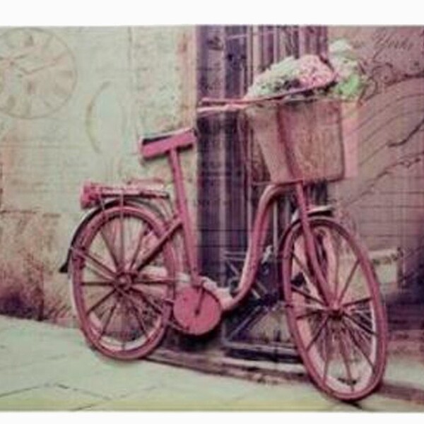 Tela Impressa C Metal Bike Rosa Fullway 70x100x4cm