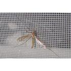 Tela Mosquiteira Anti Inseto Em Nylon 1,00 X 8,0m Branco