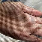 Tela Mosquiteiro Inseto 3 Metros Janela Basculante Porta Mult