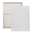 Tela Painel Para Pintura 60x100cm