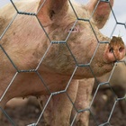 Tela Piau Mangueirão 3 X 18 X 1,20m 50m