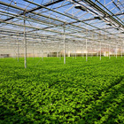 Tela Sombrite 50 1005 150x100cm Preto Equipesca