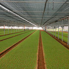 Tela Sombrite Toldo Garagem Estacionamento 50% 2 X 4 Mts