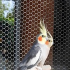 Tela Viveiro 1/2" - Fio 24 - 1 X 50 Metros