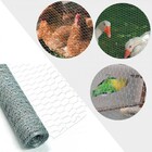 Tela Viveiro Aves Pinteiro Galinheiro Passaros Patos Rolo 50