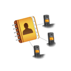 Telefone Sem Fio Elgin 8003 Com 2 Ramal Preto 42tsf8003000