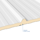 Telha Térmica Sanduíche Branca Com Forro 2 Metros – Núcleo Em