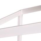 Telhado Claraboia Branco Natural