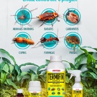 Termifin Ce Multi-insetos 50ml