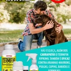 Termifin Ce Multi-insetos 50ml