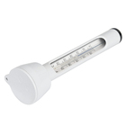 Termômetro Flutuante para Piscina Intex