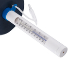 Termômetro Flutuante Urso Polar