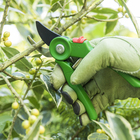 Teroura Poda Bypass 21,5cm Geolia