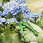 Teroura Poda Bypass 21,5cm Geolia