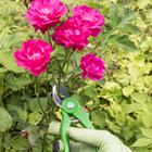 Teroura Poda Bypass 21,5cm Geolia