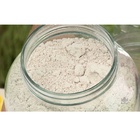 Terra De Diatomáceas Defensivo Cochonilha Suculentas 500g