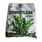 Terra Especial Para Zamioculcas (2kg) Vitaplan
