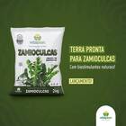 Terra Especial Para Zamioculcas (2kg) Vitaplan