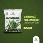 Terra Especial Para Zamioculcas (2kg) Vitaplan