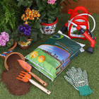 Terra Gramado 4Kg Geolia