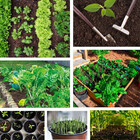 Terra Vegetal Adubada Premium 5kg Natural Orgânica Pronta Par