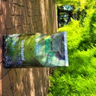 Terra Vegetal Novo Ciclo Pct 9l