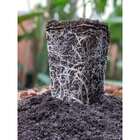 Terrô Solo Auto Substrato Grow Orgânico Floração Rápida 7l