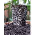 Terrô Start Substrato Semente Germinação Mudas Grow Indoor 45l