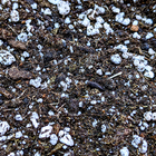 Terrô Super Solo Substrato Grow Orgânico 7l