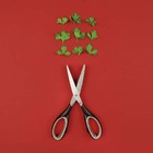 Tesoura 5 Lâminas Para Cortar Picar Temperos Cheiro Verde Erv