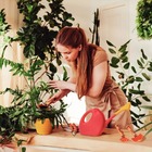 Tesoura De Poda Para Jardim Com Lâmina Metálica Bypass + Luva